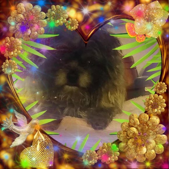 Meet your Posher, Kelly - Picture 1 of 1